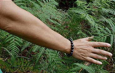 Aware - Reise in das Bewusstsein