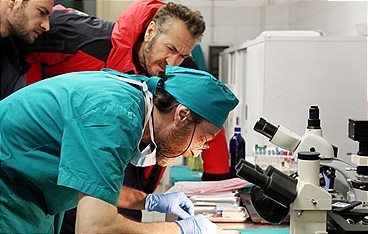 Der Kommissar und die Alpen - Sturz in den Tod