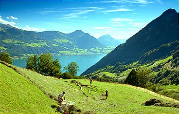 Der Vierwaldstättersee - Blaues Juwel der Schweiz