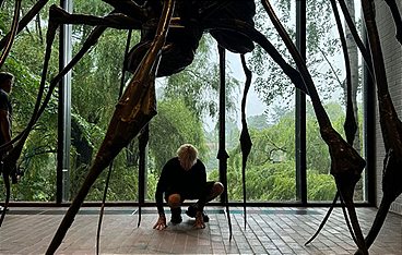 Die großen Frauen der Kunst