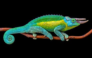 Hawaii - Tropisches Inselparadies