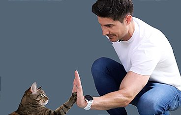 Hund und Katze - Haustiere Himmel oder Hölle?