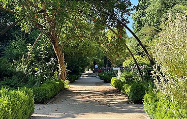 Königliche Gärten - Der Königliche Botanische Garten von Madrid