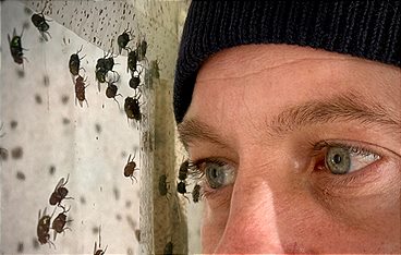 Kunstretter - Im Sturm auf die Moderne
