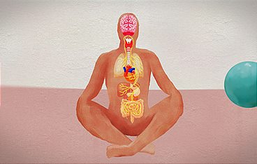 Vagus - Der Anti-Stress-Nerv