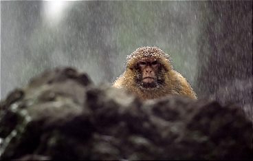 Wildes Marokko - Der grüne Norden