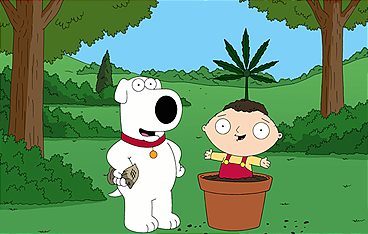 Family Guy