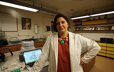 Aufgedeckt - Rätsel der Geschichte