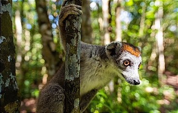 Länder-Menschen-Abenteuer