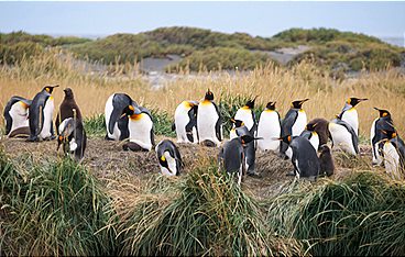Länder-Menschen-Abenteuer