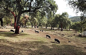 Länder-Menschen-Abenteuer