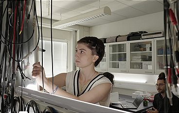 Sprechende Schweine - KI übersetzt Tiersprache