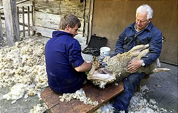 Südtirol - Der Vinschgau