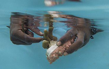 The Earthshot Prize - Repairing Our Planet