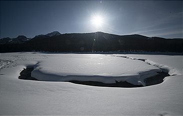 The Earthshot Prize - Repairing Our Planet