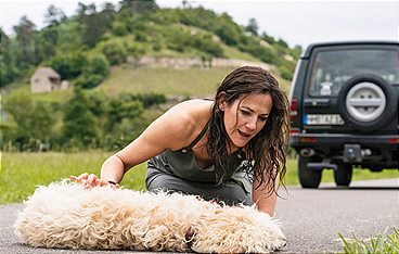 Zwei Frauen für alle Felle - Neuanfang