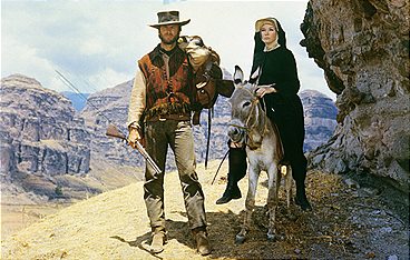 Ein Fressen für die Geier