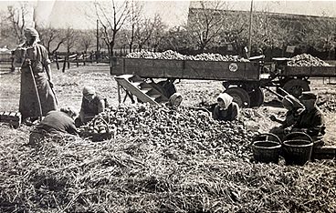 Geschichte der Landwirtschaft