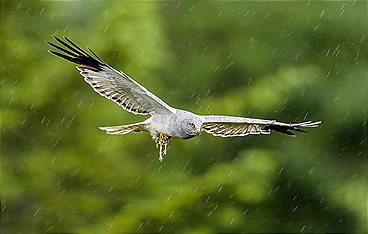 Kerry - Irlands wilder Westen