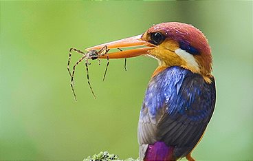 Oasen: Inseln des Lebens