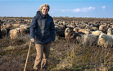 Sylt - Wellen, Wind und Watt
