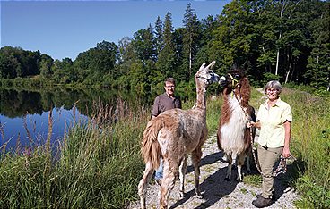 Lust aufs Land - Bayerische Hofgeschichten