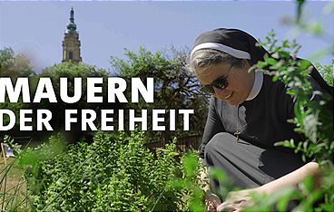 Mauern der Freiheit