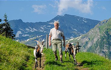 Österreichs Bergdörfer