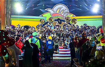 Schwaben weissblau, hurra und helau