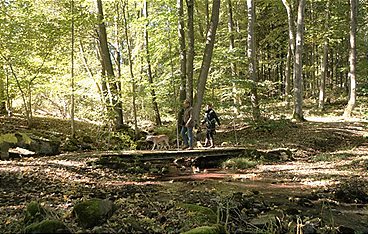 Versteckte Paradiese