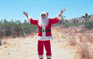 Eine wüste Bescherung