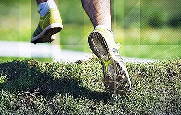 Trail GT World Series