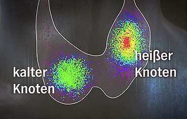 Die Gesundmacher
