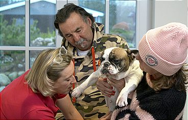 Die Tierärzte - Retter mit Herz
