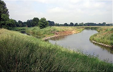 Fracht, Fische, Freizeit - Leben an Hessens Flüssen