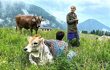 Von Südtirol an den Gardasee