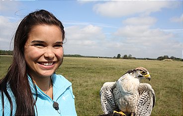 Anna und die wilden Tiere