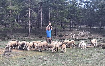 Durch die Wildnis - Das Abenteuer Deines Lebens