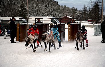 Schau in meine Welt!