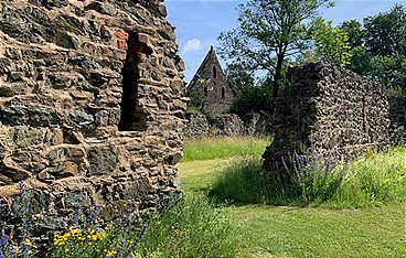 Der Klosterpark Altzella
