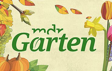 MDR Garten