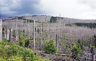 Unsere Berge im Wandel
