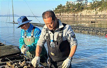 Naturjuwel Südkorea - Kragenbären, Kimchi und Klosterleben