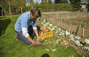 Rasch durch den Garten