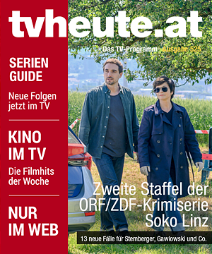 Ausgabe #529 Cover