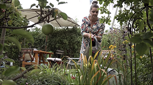 „Von Hecke zu Hecke – Bunte Beetgeschichten“