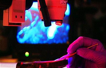 Medical Detectives - Geheimnisse der Gerichtsmedizin