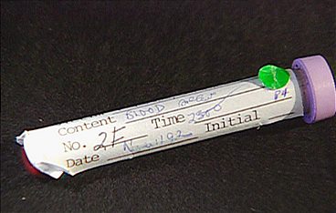 Medical Detectives - Geheimnisse der Gerichtsmedizin