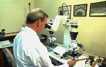 Medical Detectives - Geheimnisse der Gerichtsmedizin