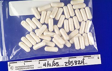 Medical Detectives - Geheimnisse der Gerichtsmedizin